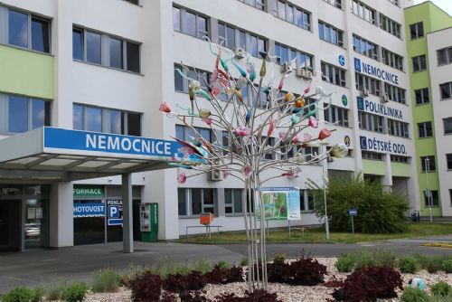 Foto: Nemocnice v České Lípě láká mladé lékaře na relax u koupaliště a pivní zážitky
