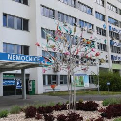Nemocnice v České Lípě láká mladé lékaře na relax u koupaliště a pivní zážitky