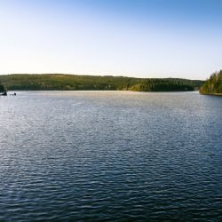 Kácení stromů u Liberecké přehrady: Biodiverzita a náhradní výsadba na obzoru