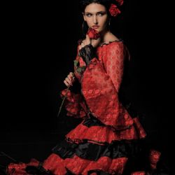 Kraj vyvěsil romskou vlajku