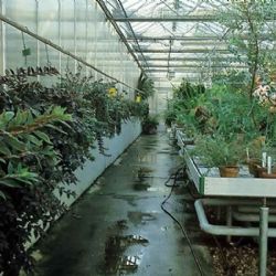 Obnova skleníků v liberecké botanické zahradě