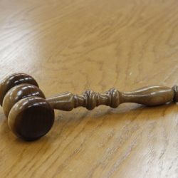 Brutální vrah z Českolipska dostal 27 let