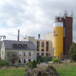 Svijany: Produkce piva vzrostla na 728 tisíc hektolitrů díky nové lince