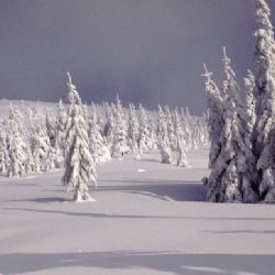Levnější skipasy, širší sjezdovky. Lyžaře v Krkonoších čekají novinky