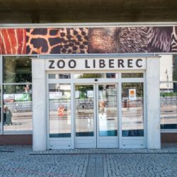 Liberecká zoo chystá první kroky ke vzniku Údolí ohrožené divočiny