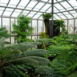 Při nákupu vstupenky přes internet se dostanou senioři do botanické zahrady o 10 korun levněji  